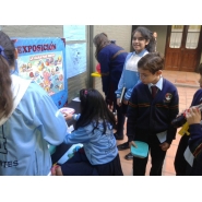 Proyecto de 6to. grado A y B: LA CÉLULA, ORIGEN DE LA VIDA